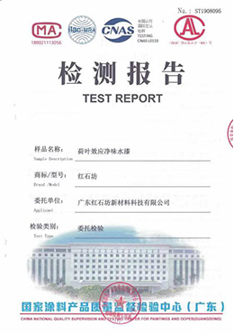 凈味水漆檢測報告B-1